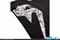 Product Alternate Image